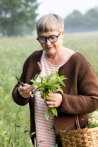 Wildkräuter, Bestimmen, Sammeln, Zubereiten (Foto: Sandra Eckhardt)